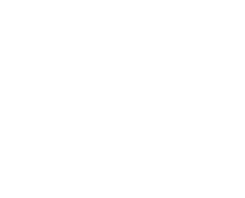 Logo Rodapé LLP